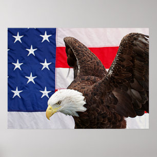 Örn med amerikanska flaggan poster