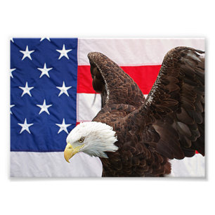 Örn med den amerikanska Flagga Fototryck
