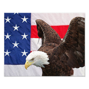 Örn med den amerikanska Flagga Fototryck