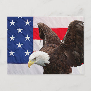 Örn med den amerikanska Flagga Vykort