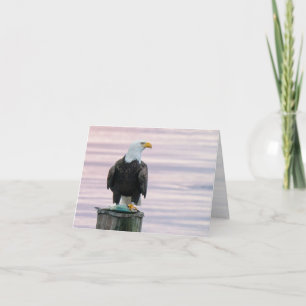 Örn med fiskviltlevande fotografi tom tack kort