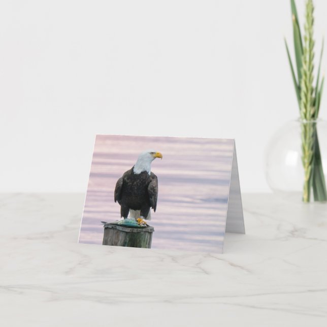 Örn med fiskviltlevande fotografi tom tack kort (Framsida)