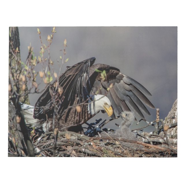 Örn med hennes baby anteckningsblock (Framsida)