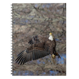 Örn med katfisk anteckningsbok med spiral