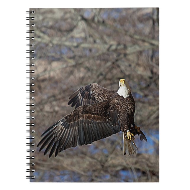 Örn med katfisk anteckningsbok med spiral (Framsidan)