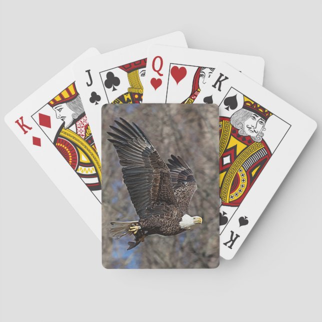 Örn med katfisk spel kort (Baksidan)