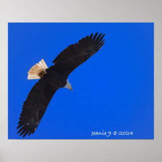 Örn mot en blå himmel poster