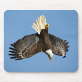 Örn mot vatten musmatta