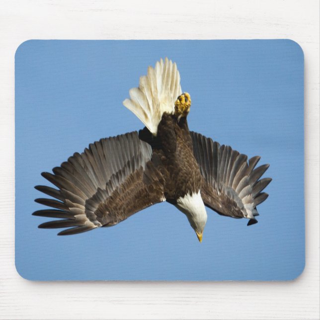 Örn mot vatten musmatta (Framsidan)