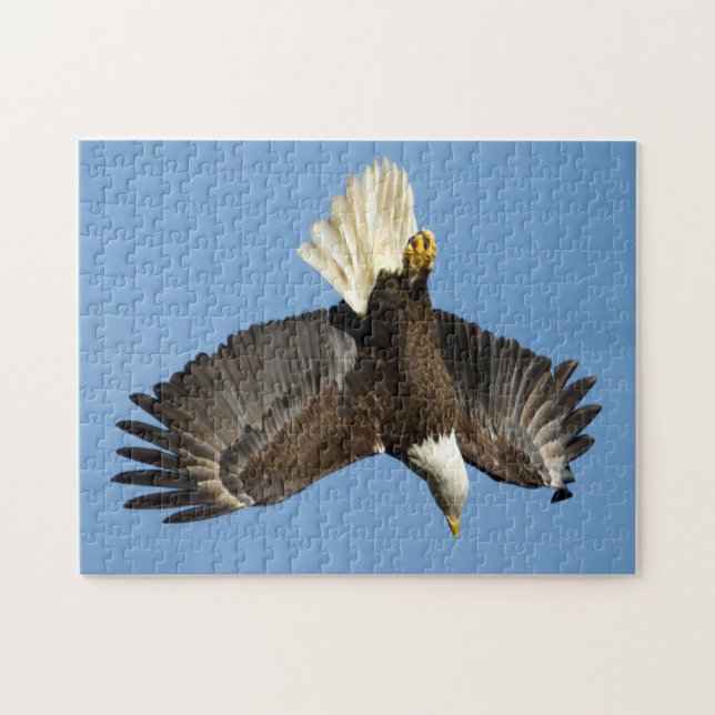 Örn mot vatten pussel (Horisontell)