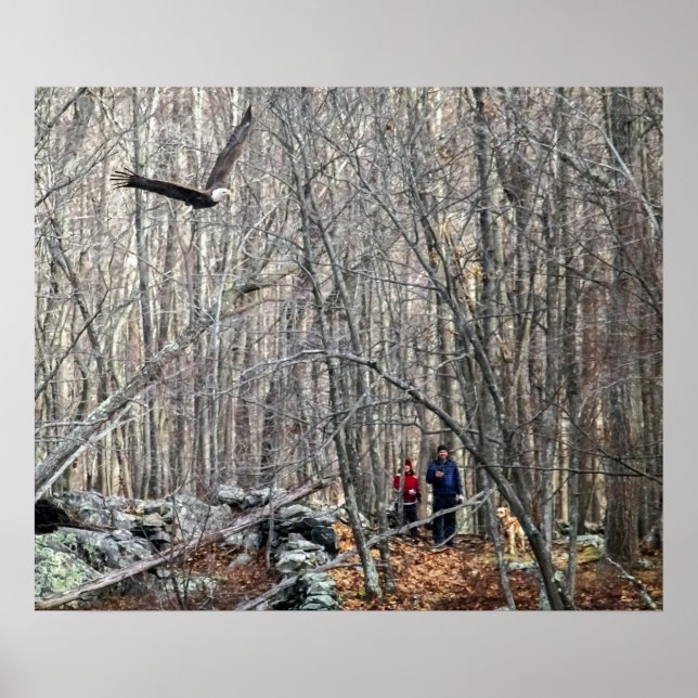 Örn-möte Poster (Framsidan)