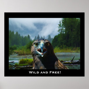 Örn och Alaska floden Motivational Poster