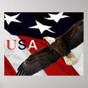 Örn och amerikansk flagga USA Poster