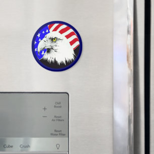 Örn och amerikanska Flagga Magnet