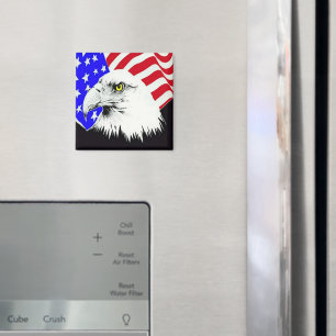 Örn och amerikanska Flagga Magnet