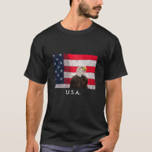 Örn och amerikanska flaggan
