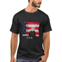 Örn och amerikanska flaggan
