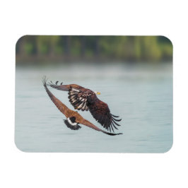 Örn och Goose Wildlife Photo Magnet
