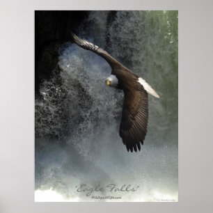 Örn och vattenfall Poster