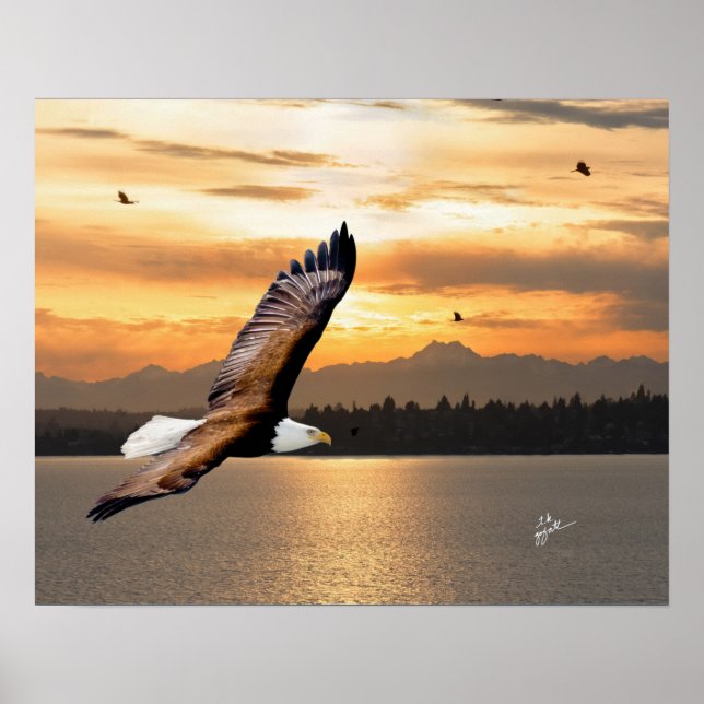 Örn över olympisk bergsklättring Sunset Fine Art Poster (Framsidan)