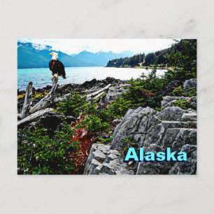 Örn på den Alaska kusten Vykort