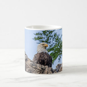 Örn på en trädgren kaffemugg