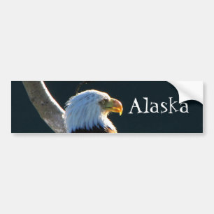 Örn på uppmärksamhet; Alaska Bildekal