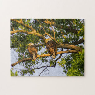 Örn Pair Pussel