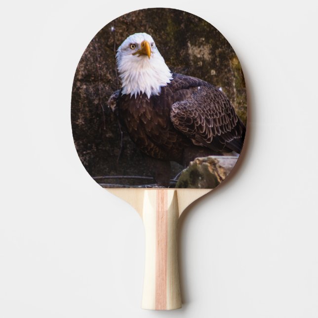 Örn Pingisracket (Framsidan)