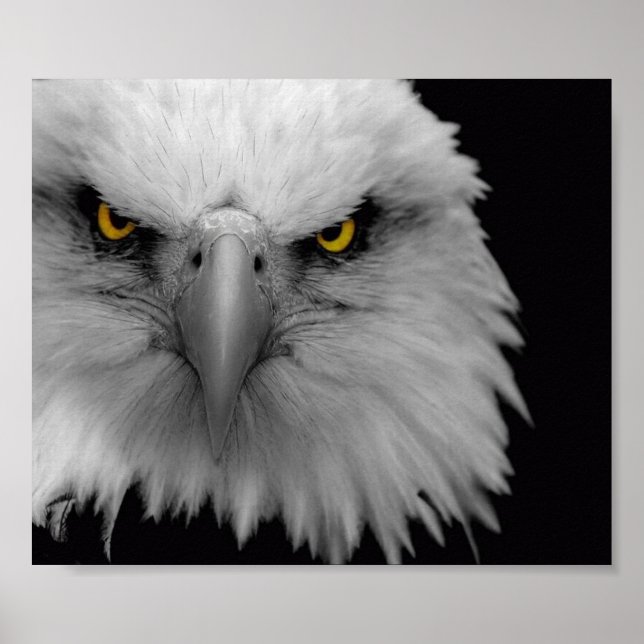 örn poster (Framsidan)