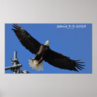 Örn Poster