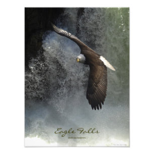 Örn Raptor Vild Animal Photo Print Fototryck