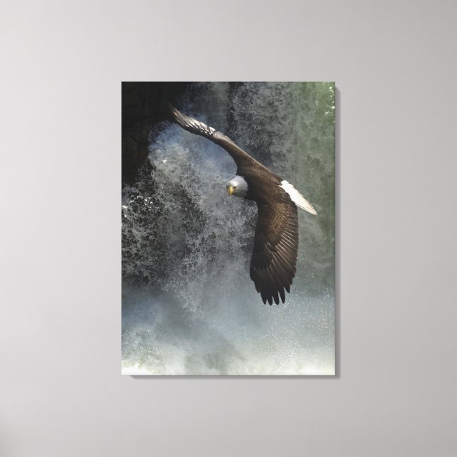 Örn Raptor Vild Animaliskt foto Poster Canvastryck (Framsida)
