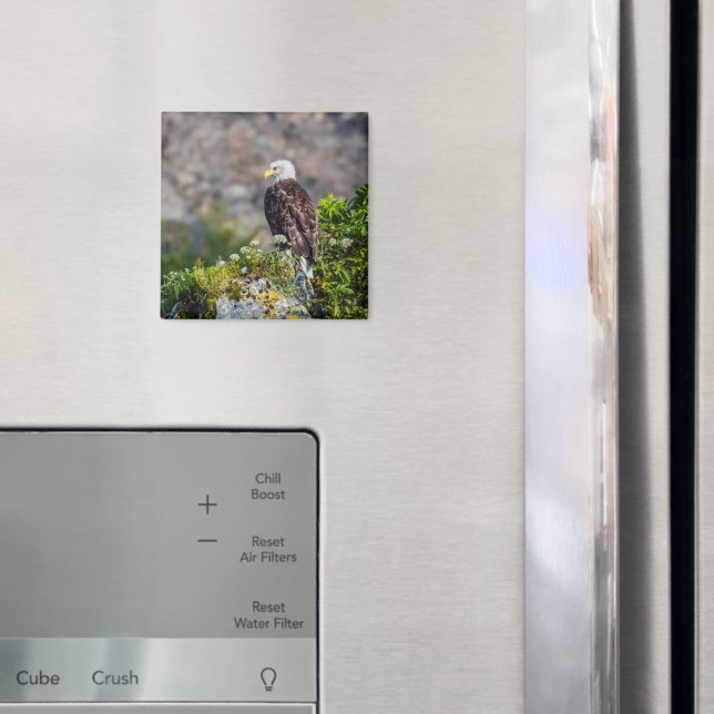 Örn sitta på sten-magnet magnet (In Situ (Fridge))