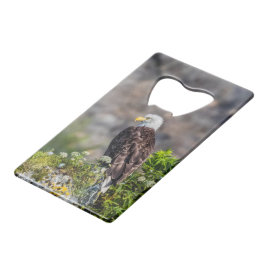 Örn sitta vid sten kreditkort flasköppnare