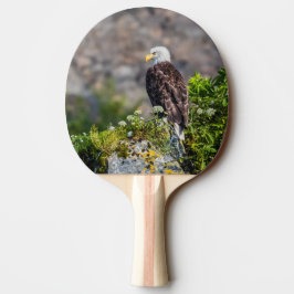 Örn sitta vid sten pingisracket