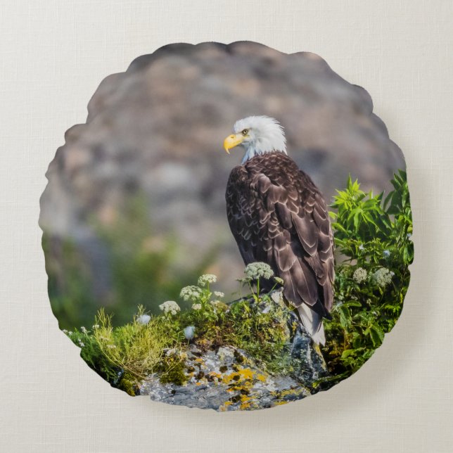Örn sitta vid sten rund kudde (Framsidan)