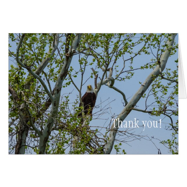 Örn Smile Tack OBS Kort (Framsidan Horizontal)