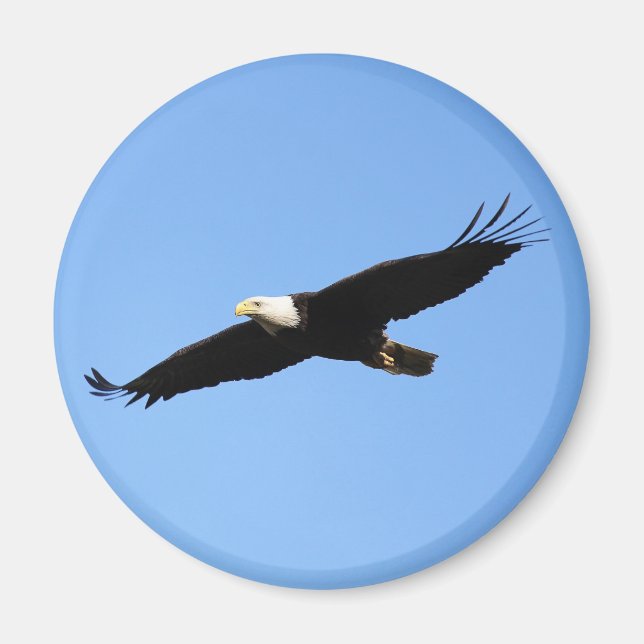 Örn Soar Magnet (Framsidan)