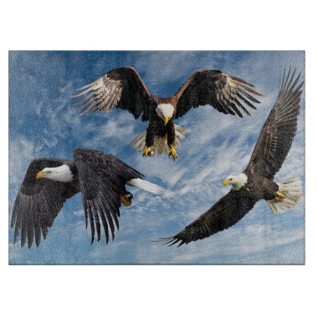 Örn Soaring (Framsidan)