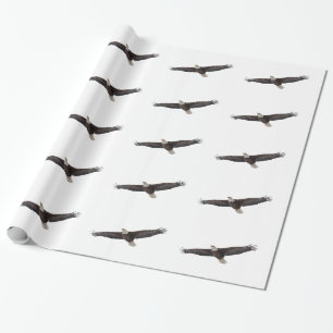 Örn Soaring Presentpapper