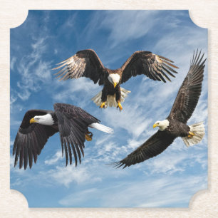 Örn Soaring Underlägg Papper