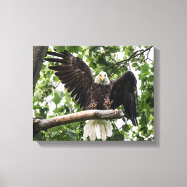 Örn som fäster landningen canvastryck