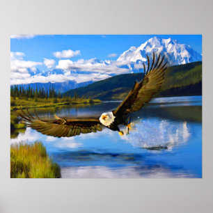 Örn som fiskar Denali 24" x 18" arkivpapper Poster