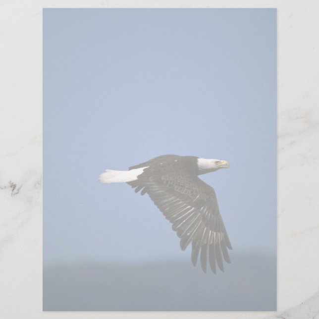 Örn som flyger över horisonten (Framsida)