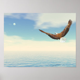 Örn som flyger på havet till måne poster