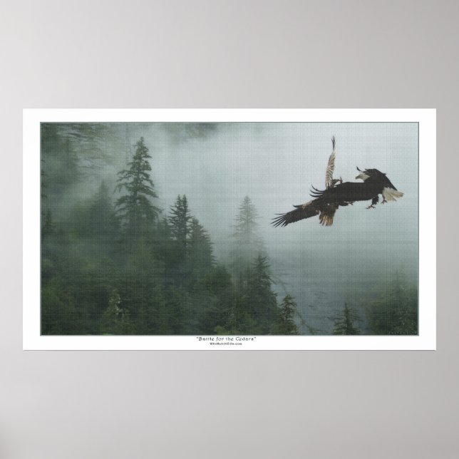Örn som slår över en Forest Huge Art Print Poster (Framsidan)