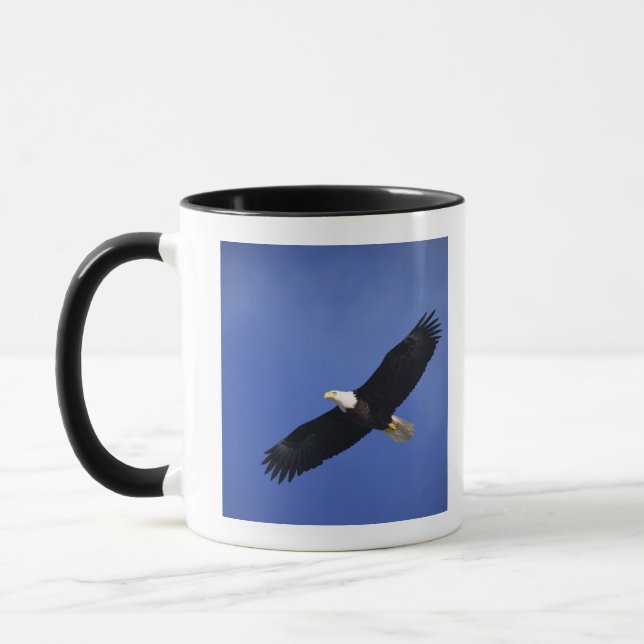 Örn som soaring, Alaska Mugg (Vänster)