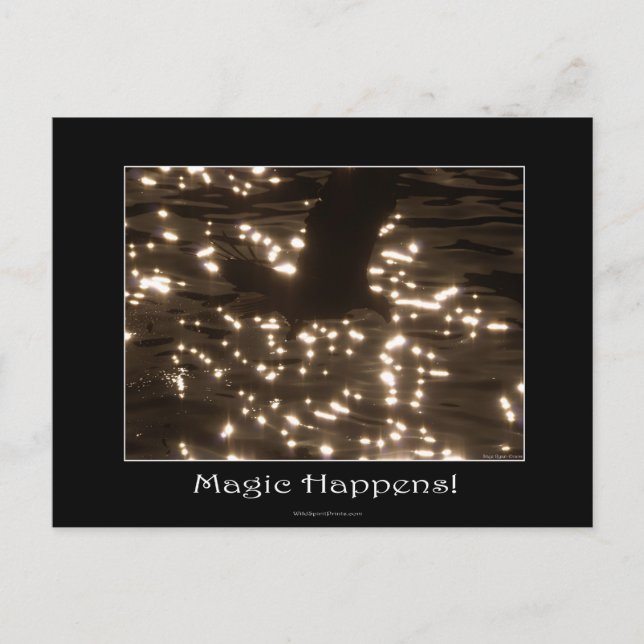 ÖRN & SUNLIT VATTEN VYKORT (Framsida)