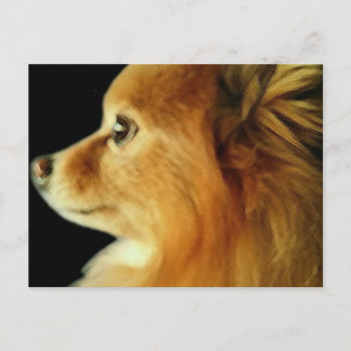 Örn synade Pomeranian Vykort